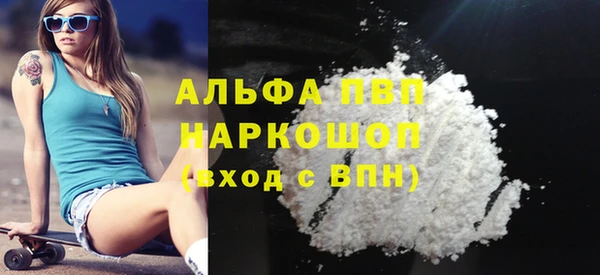 крисы Бородино