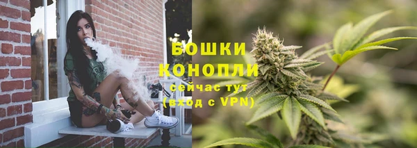 крисы Бородино