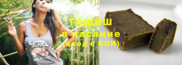 крисы Бородино