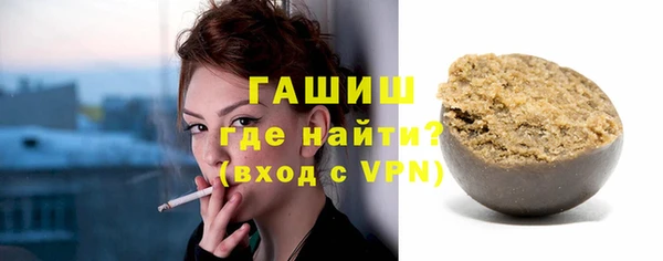 крисы Бородино