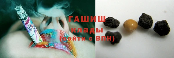 крисы Бородино