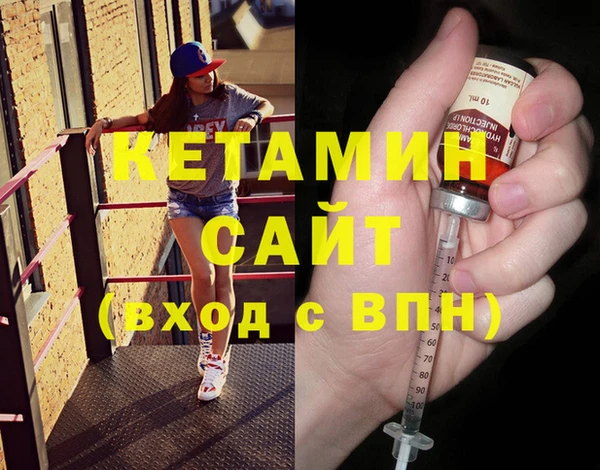 крисы Бородино