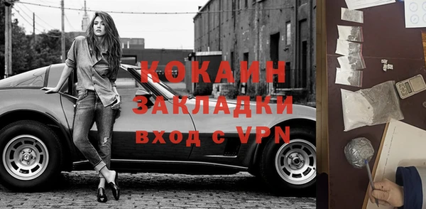 крисы Бородино