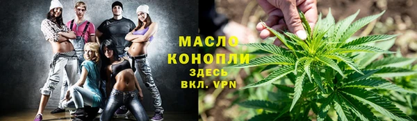 крисы Бородино