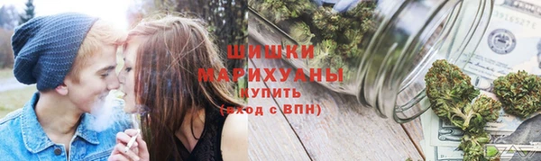 крисы Бородино