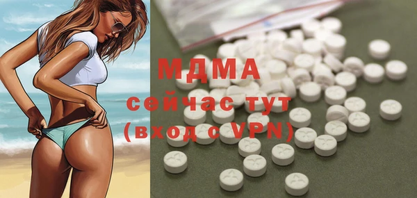 крисы Бородино