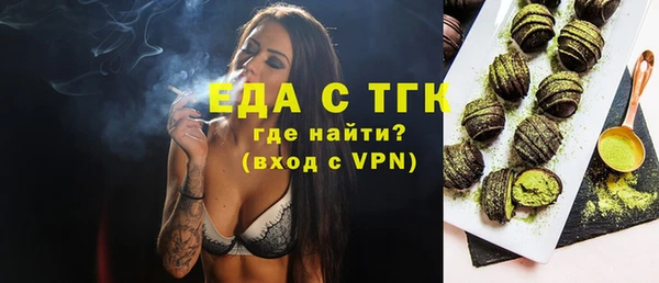 крисы Бородино